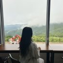 정선농산 | 【강원도, 정선】 강원도 정선 여행 가볼만한 곳...탑승 정보, 정상 전경 뷰 (안개 낀 날 7월 정상 뷰후기)