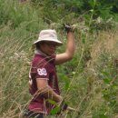 동산통신 이미지