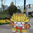 가고파닭발 | 마산가고파국화축제 세모로페스타 (주차 위치 운영시간 먹거리 야시장)