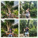 9월 4주 - 베어트리파크 가을 소풍 이야기 3탄 열대 식물원 ♥ 이미지