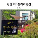 아갤러리 이미지