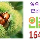 인터피아 이미지