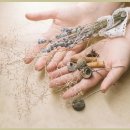 세종한방병원 이미지