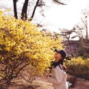 헤일리필름 이미지