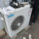이디살래