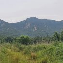 마복산농장 이미지