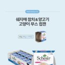 쁘띠델리 이미지