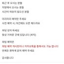 메리슈가 이미지