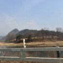 영월군청 | 영월 한옥 카페 왕사남보고 찾은 카페달