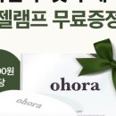 선데이네일 이미지