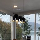 고사리맨션이 이미지