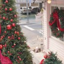 (주)올더베스트 | 올더어글리쿠키 트레몽 합정 크리스마스 카페 주차