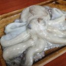 문어가 - 양산시 양산역3길 6 | 문어가