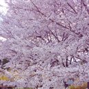 와룡컴퍼니 - 화천군 중앙로 20-3 | 와룡컴퍼니