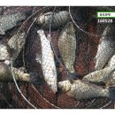 대박낚시터 이미지