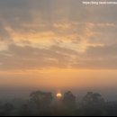 2023-0073 | 세번째 인도 / 여권갱신 후 뱅갈로르 입국심사-버스타고 마이솔까지