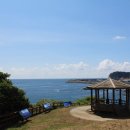 소남머리 이미지