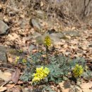 금봉자연휴양림 이미지