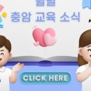 충암초등 이미지