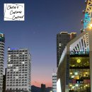 소노펠리체 델피노 이미지