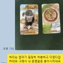 안녕,하리! 이미지