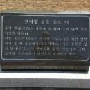 제주시 건입동 산지항유물출토 터 이미지