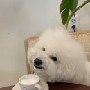 메이킷카페 이미지