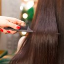 헤이데이 이미지