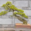 제주아트랜드 이미지