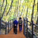 입곡군립공원(산림욕장) Daum카페
