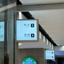 바다보고 싶어서 서울에서 마산 광암해수욕장으로 혼자 떠나버리기