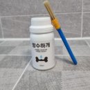 수수하개 이미지