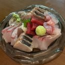 [마곡나루 맛집] 서울식물원 숙성회맛집 이자카야 타비다치 - 모듬사시미, 항정살구이 추천후기