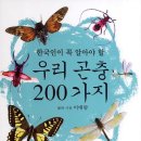모두의곤충 이미지