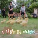 빵빵 이미지