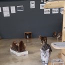 뱅갈온니 이미지