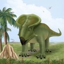 프로토케라톱스 이미지