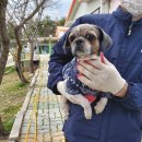 GS25포항양덕 이미지