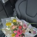 라플레르수 이미지