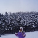 상당산성 이미지