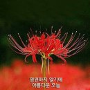 은가람 이미지