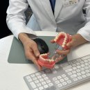 바른이바른얼굴 치과교정과치과의원 | 강남 치아교정 치과 추천, 잘하는곳 선택 하는 방법 치과의사가 알려드려요