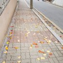 명동사우나헬스 이미지