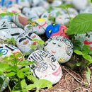 오두산 치유숲 이미지