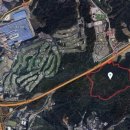 반려동물 테마파크 이미지