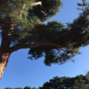 매산농원 이미지