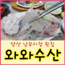 시장횟집 티스토리