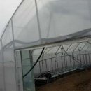 김성훈농장 이미지