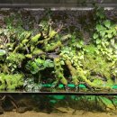 아쿠아가든카페 양재점 이미지