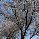 대부도펜션플러스 이미지